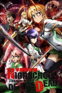 Highschool of the Dead Cover, Online, Poster