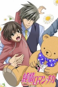 Cover Junjo Romantica, Poster