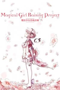 Magical Girl Raising Project Cover, Poster, Magical Girl Raising Project DVD