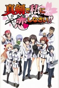 Cover Majikoi: Oh! Samurai Girls!, TV-Serie, Poster