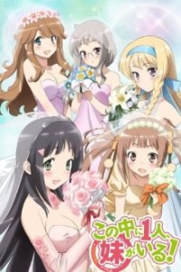Nakaimo - My Little Sister Is Among Them! Cover, Poster, Nakaimo - My Little Sister Is Among Them! DVD