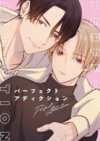 Perfect Addiction Cover, Online, Poster