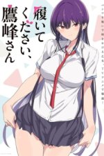 Staffel 1 Cover, Poster