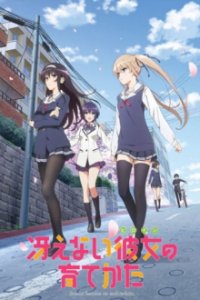 Saekano: How to Raise a Boring Girlfriend Cover, Poster, Saekano: How to Raise a Boring Girlfriend DVD